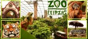 Wissenswertes zum Leipziger Zoo