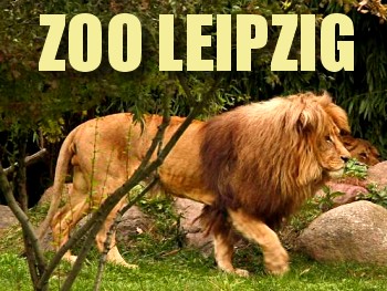 Zoo Leipzig - �ffnungszeiten & Preise